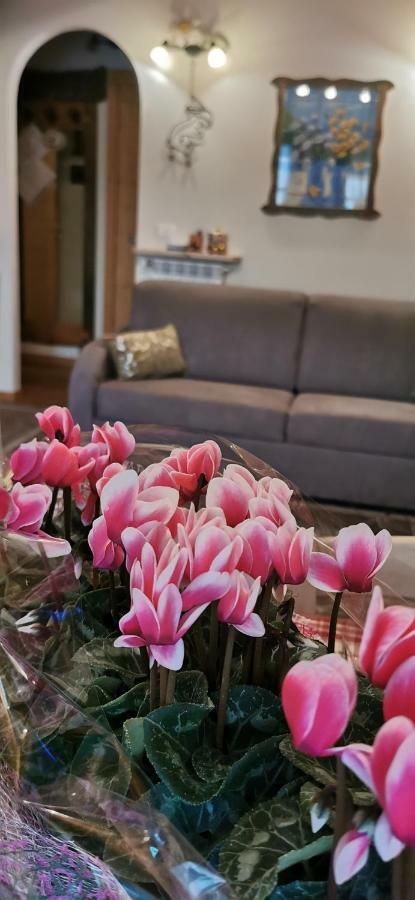 Borgo Alpino Chalet 4 Aprica Zewnętrze zdjęcie